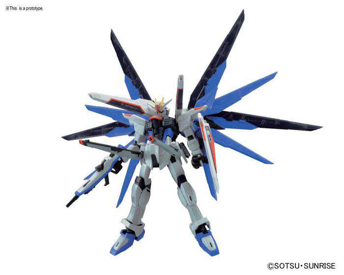 Rg Gundam Freedom 1/144